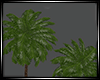 LS~TropicalParadse Fire
