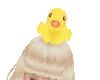 Cute Duckie On Head