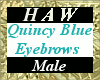 Quincy Blue Eyebrows - M
