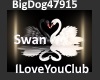 [BD]SwanILoveYouClub