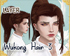 !A| Sun Wukong layer 2