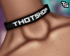 Ts. ThotShop Custom.
