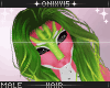 |Pitaya Hair|