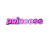Princess(animated)
