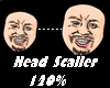 Head Scaller Unisex 120%