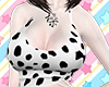 Dalmatian: Top
