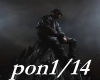 Werenoi- Poney