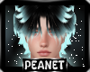 Fiero | Hair