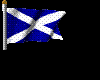 Scottish Flag - Animated