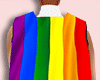 Pride Rainbow Flag F