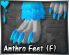 D~Anthro Ft: (F) Blue