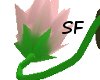 SF-Vines Tail