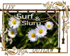 surf and slurp sign