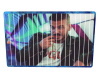 Cadre Kenji Chanteur