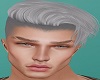 Hayes - Grey