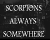 {P} Always Somewhere