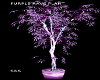 [S&S] Purple Rave Plant
