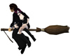 Broomstick for Two