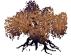 Brown Passion Willow