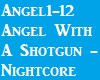 Angel With A Shotgun