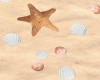 BaN-Shell&SeaShells