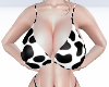 KTN Busty Cow Bra