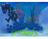 centlady coral reefs