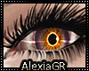 [A] Dragons Eyes