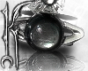 ╋━ INDEX RING #R