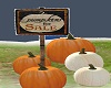 Pumpkins 4 sale