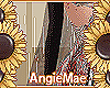 AM* IriGal Cape