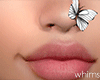 White Face Butterflies
