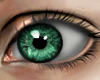 Eyes x Green