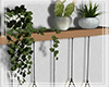 ౮ƙ -Plant shelf