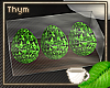 Emerald Eggs w/ Case