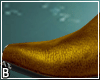 Gold Western Boots Spur