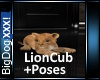 [BD]LionCub=Poses