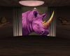 !!Vivid Safari
