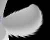 Tine bunny tail