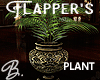 *B* Flappers Palm Plant