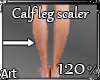 Art ► Calf Leg Scaler