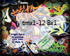 ~T~ The Matrix Trap Bx1