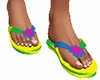 ! Colorful Flip Flops