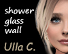 UC shower glass
