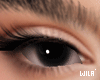 Lash Black