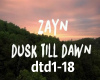 ZAYN - Dusk Till Dawn