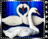 ~D3~Romantic Swans En