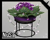 Luxury Violet Pot