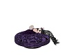 purple lace cuddle