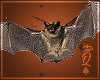 ♠ Qu33n Vamp Bats